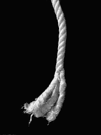 [rope[1].gif]